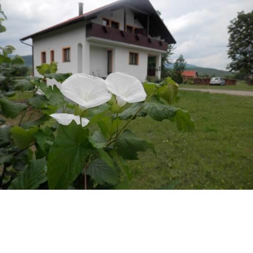 Guesthouse Matija