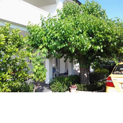 Apartments S & M