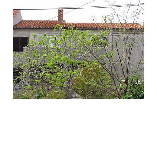 Guesthouse Stivan (920)