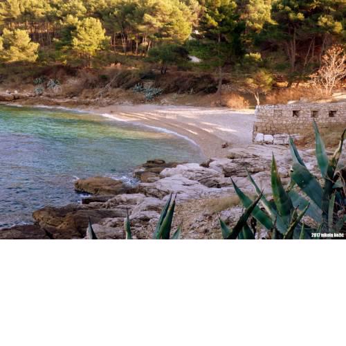 Guesthouse Torga