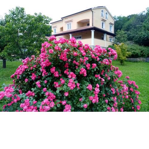 Guesthouse Villa AnnaDora