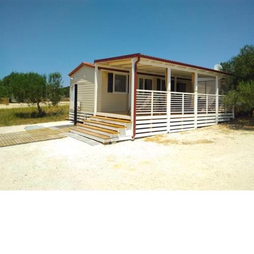 Gušter Mobile Home