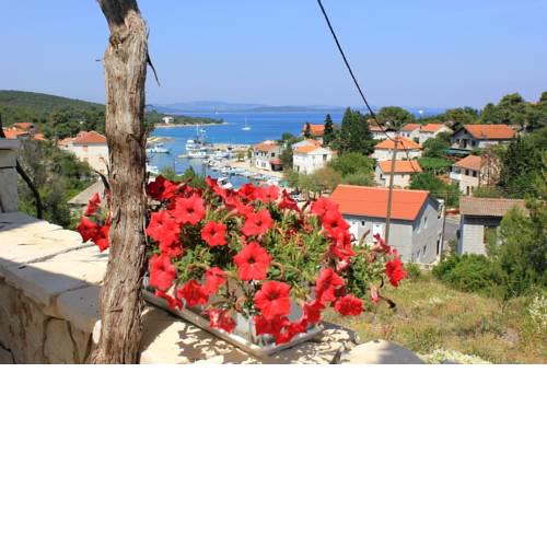 Holiday apartments Zman, Dugi otok - 887