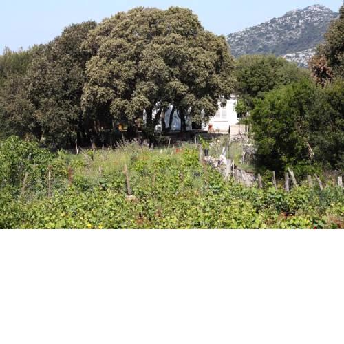 Holiday Home Blaca 615