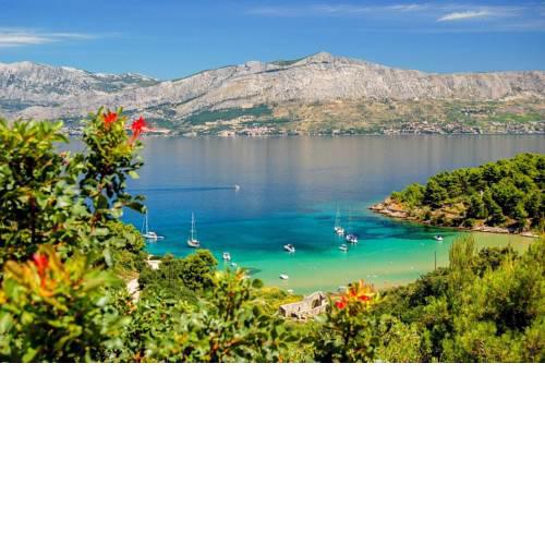 Holiday Home Bongovila