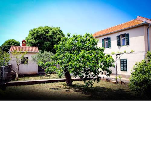 Holiday Home Dalmatian House MM