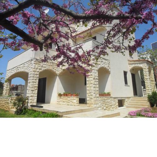 Holiday Home Danijela