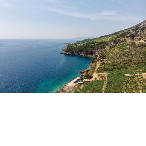 Holiday Home Dingac with Sea View 01