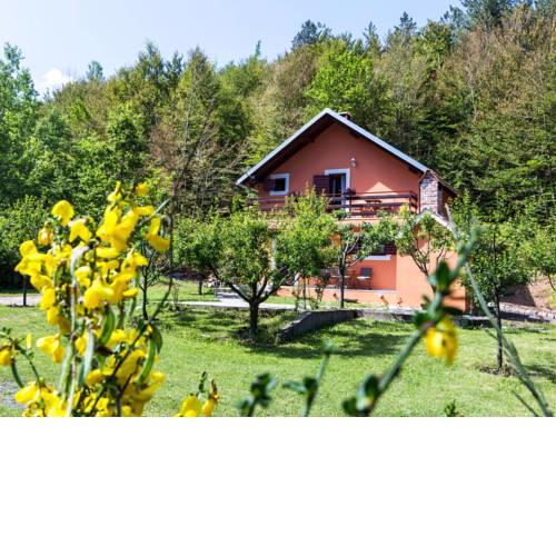 Holiday Home Forest Escape