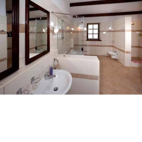 Holiday home in Baldasi - Istrien 42102