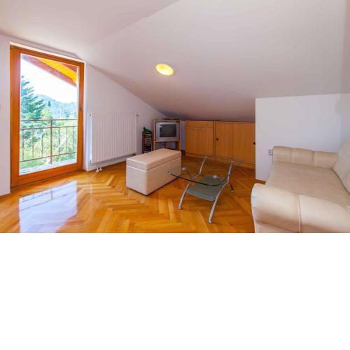 Holiday home in Lokve - Gorski Kotar 41860