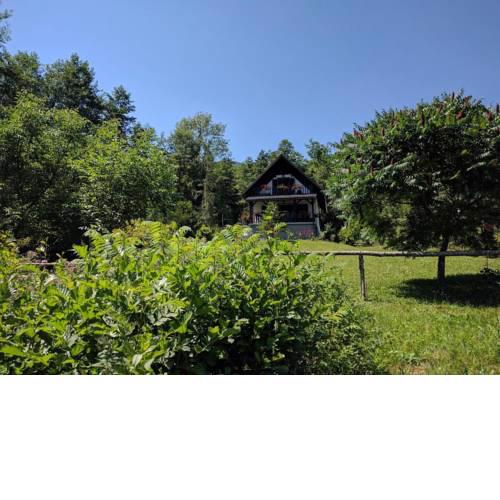 Holiday home in Turke/Gorski Kotar 35160