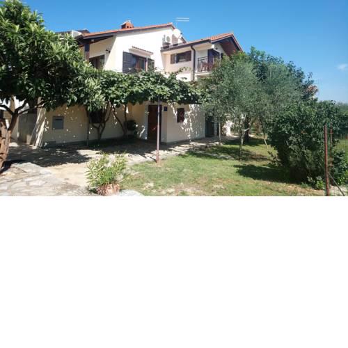 Holiday home in Umag/Istrien 31247