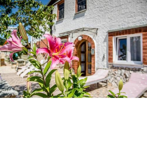 Holiday Home Katharina