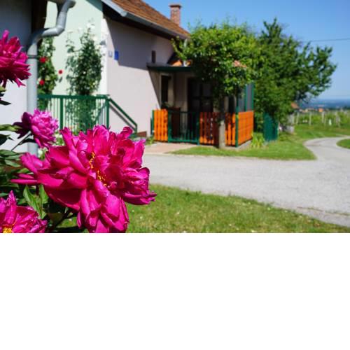 Holiday Home Mađerka