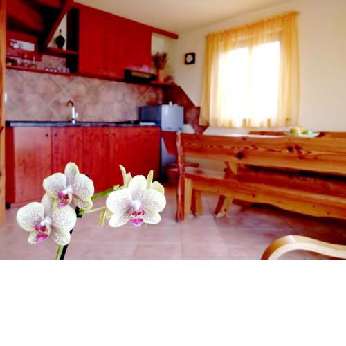 Holiday home Maslinova