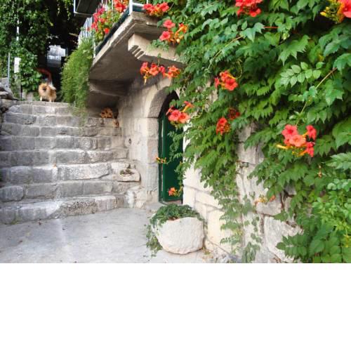 Holiday Home Sonja (OMI500)