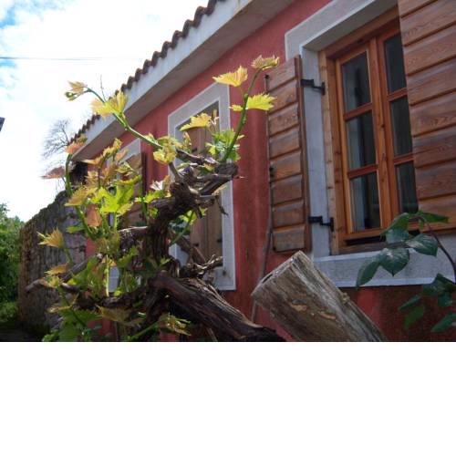 Holiday Home Stara Frajla