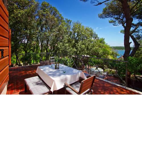 Holiday Home Villa Verudela Pula - CIS021005-F