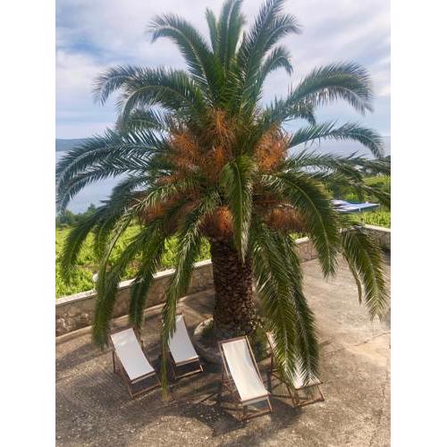 Holiday Home with Sea view in Zavala