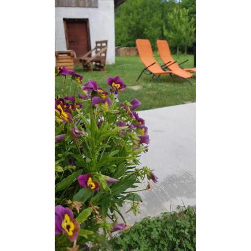 Holiday house Brušane