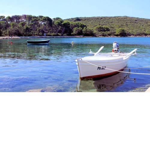 Holiday house Chiara