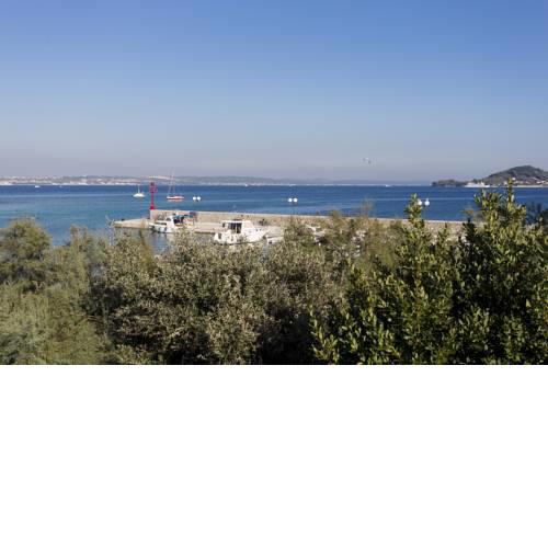 Holiday House Dalmatina