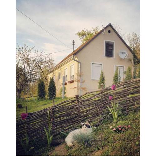 Holiday House Dolina
