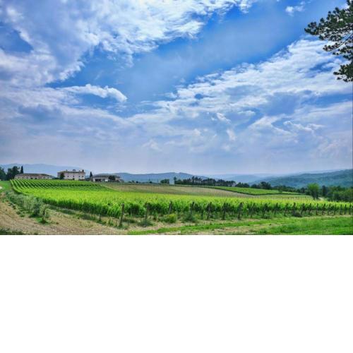 Holiday House Loredana for 6 persons in peacefully Paz, central Istria