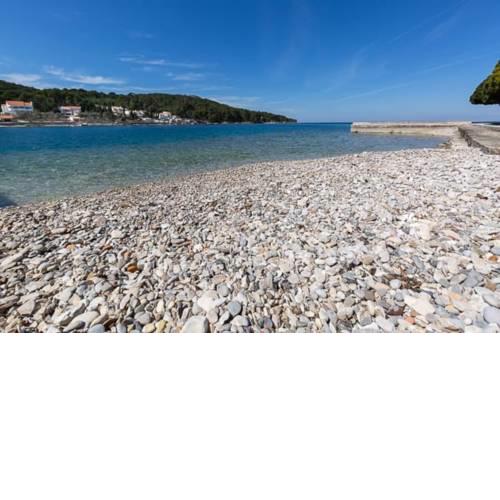 Holiday house Olea