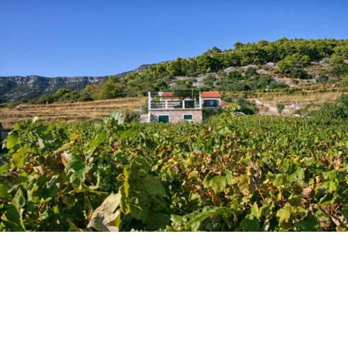 Holiday house with a parking space Bol, Brac - 4661