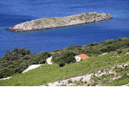 Holiday house with a parking space Dingac - Pristranj, Peljesac - 660