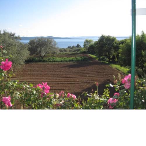 Holiday house with a parking space Kozino, Zadar - 14464