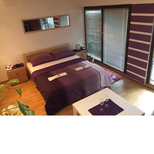 Hostel Lega House
