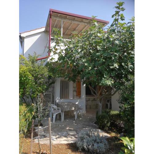 House Ante
