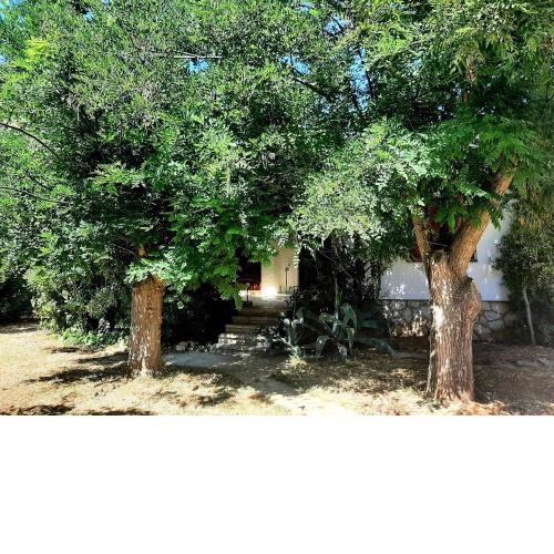 House "CASA LETICIJA"