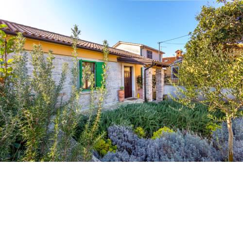 House Dragan 1231
