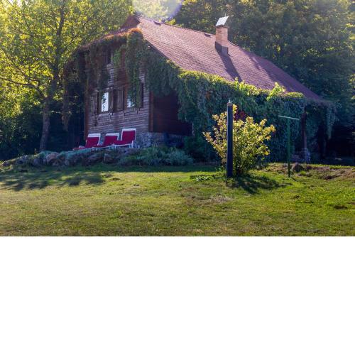 House Forest