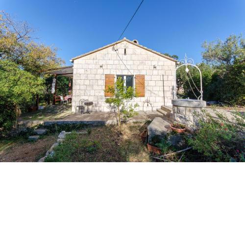 House Green oases in center