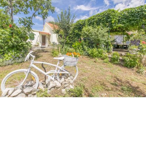 House Green Paradise