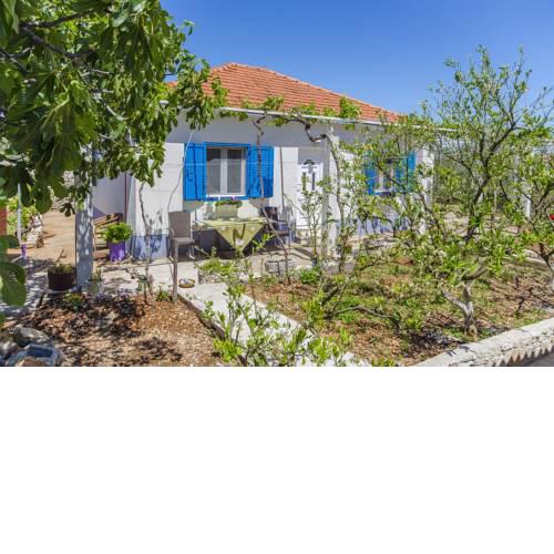 House Lavanda