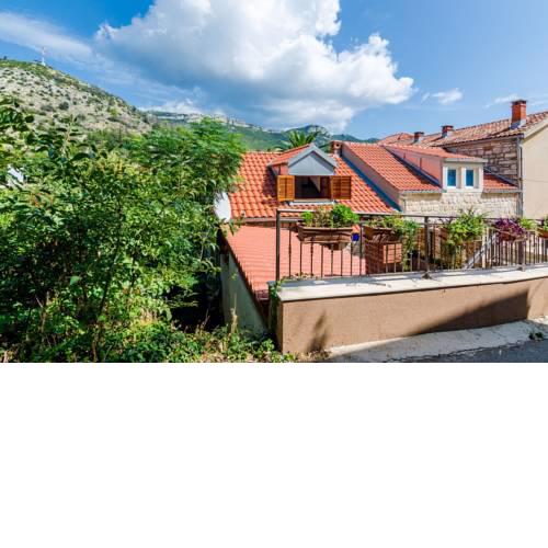 House Lazar