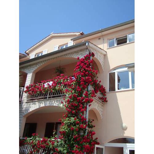 House Marić