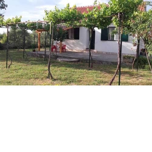 House Paradise