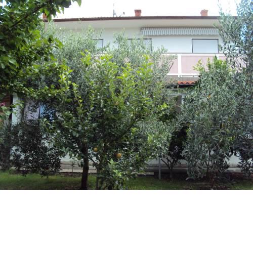 House Ribarić