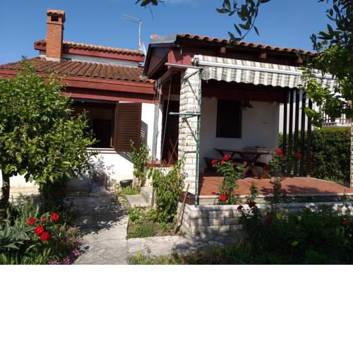 House Roko