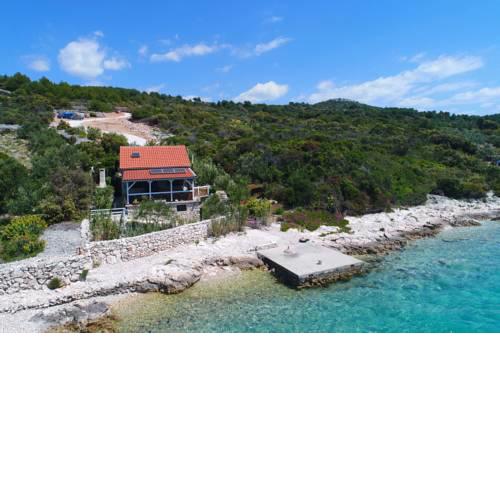 House Sea Star