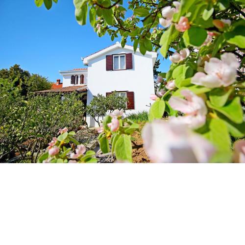 House Uzejra