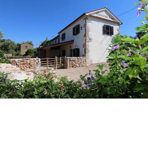 House Vicencovi dvori