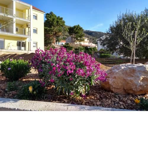 Hvar Apartment